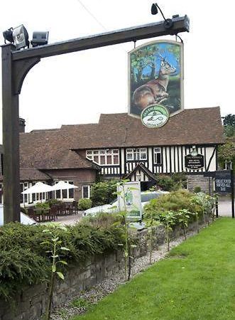 Roebuck By Greene King Inns Forest Row Dış mekan fotoğraf