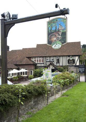 Roebuck By Greene King Inns Forest Row Dış mekan fotoğraf